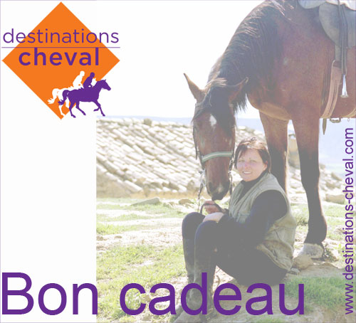 Bon cadeau découverte cheval (40 km)