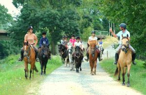 centre equestre