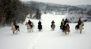 cheval et neige | Destinations Cheval