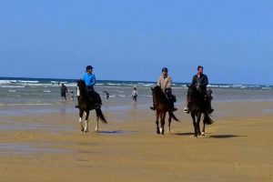 rando landes | destinations cheval