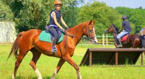 stage equitation | destinations cheval