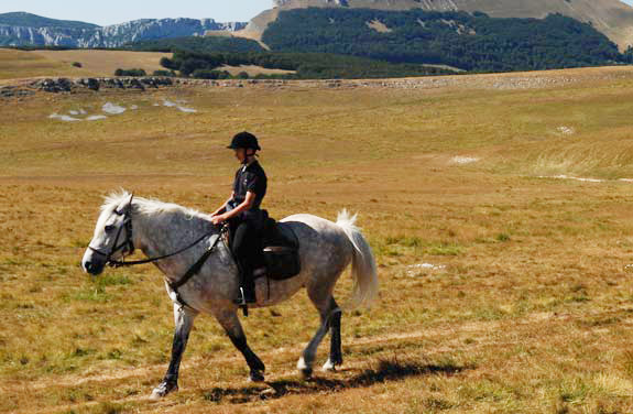 randonnee cheval ado vercors | Destinations Cheval