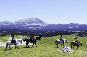 randonnee cheval ado vercors | Destinations Cheval