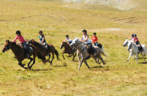 randonnee cheval ado vercors | Destinations Cheval