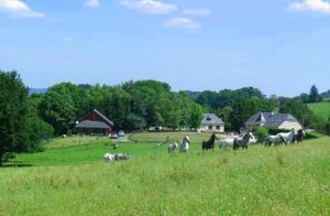 sejour equestre correze | destinations cheval