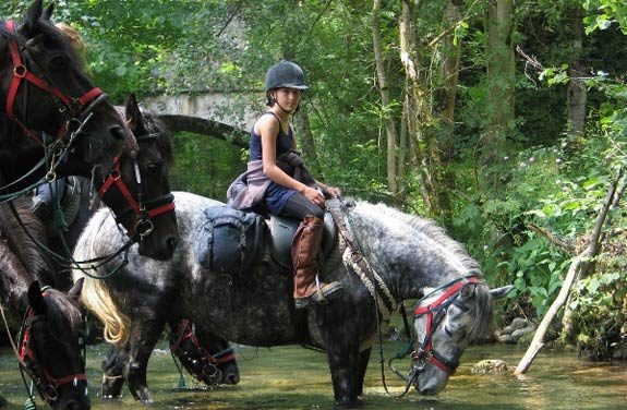 stage equitation pyrenees | destinations cheval