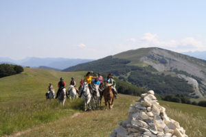 Randonnée équestre ados dans le Vercors, 13-17 ans