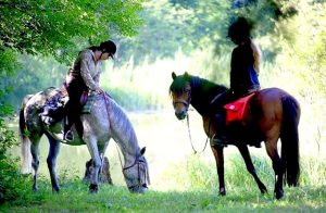 randonnee cheval ethologie | destinations cheval