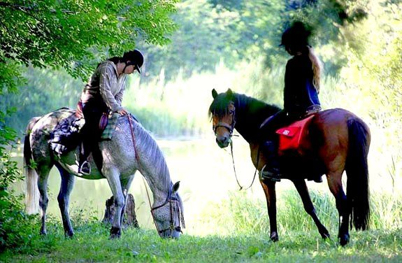randonnee cheval ethologie | destinations cheval