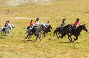 randonnee equestre ados vercors | Destinations Cheval