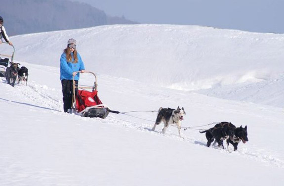 ski joering chiens traineaux vercors | Destinations Cheval