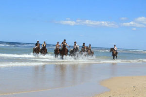 Vacances équitation en Médoc, 12-17 ans