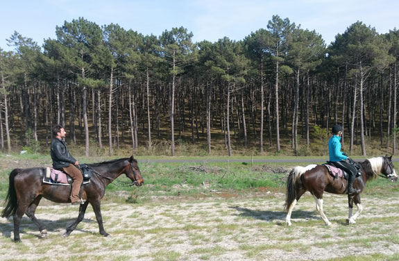 initiation cheval dans les Landes