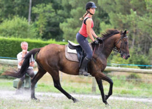 stage equitation adulte landes perfectionnement - Destinations Cheval