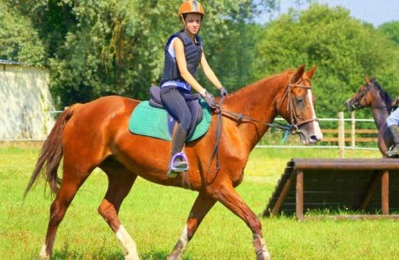 stage perfectionnement equitation yonne | Destinations Cheval