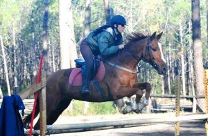 stage equitation adulte landes perfectionnement - Destinations Cheval