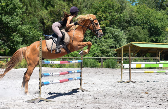 stage equitation adulte landes perfectionnement - Destinations Cheval