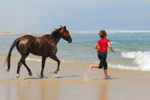 randonnee cheval dans les landes | destinations cheval