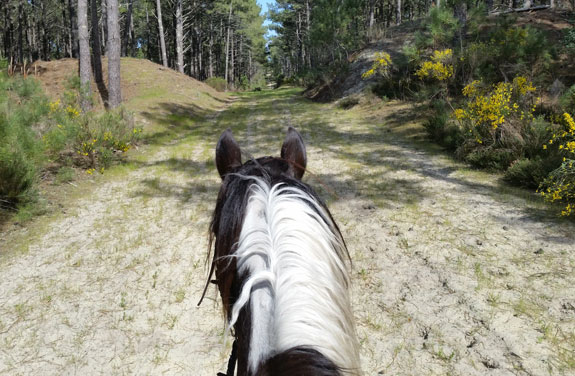 initiation cheval dans les Landes