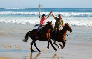 randonnee cheval dans les landes | destinations cheval