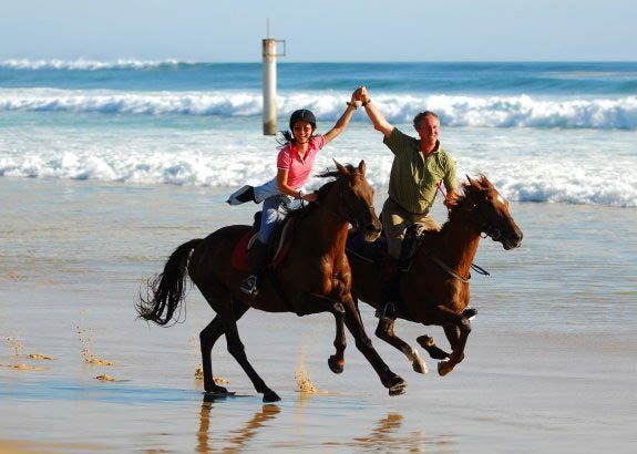 randonnee cheval dans les landes | destinations cheval