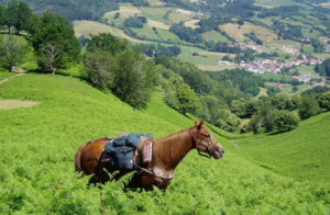 voyage pays basque landes | destinations cheval