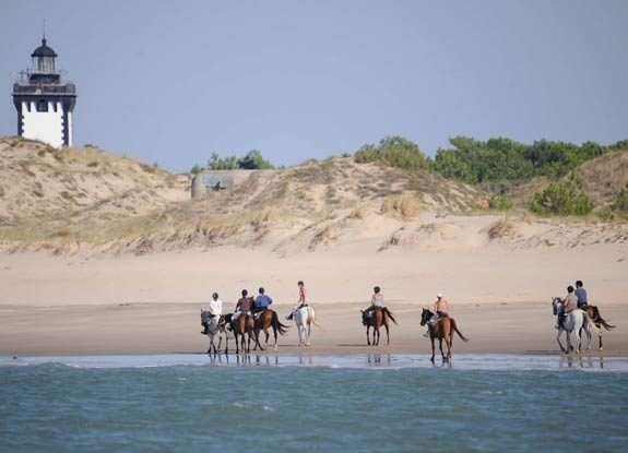 randonnee medoc | destinations cheval