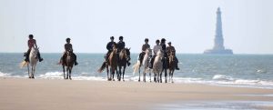 cheval medoc | destinations cheval