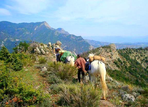 cheval provence | destinations cheval