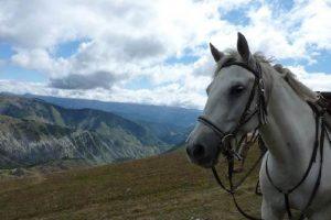 Cheval et nature, les Alpes de Haute Provence