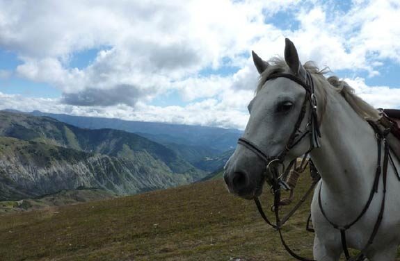 cheval nature alpes de lumieres | Destinations Cheval