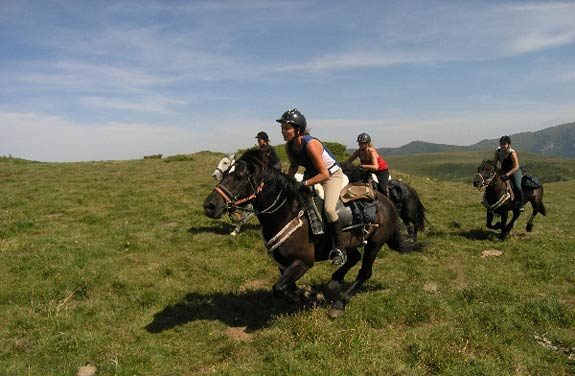 midi-pyrenees et cheval | destinations cheval