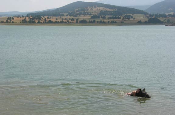 midi-pyrenees et cheval | destinations cheval