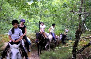 colonie equitation correze | destinations cheval