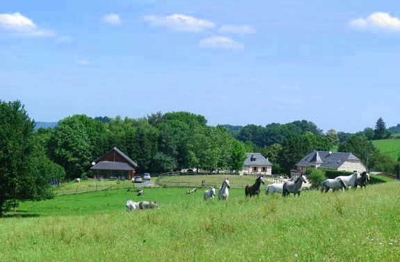 colonie equitation correze | destinations cheval