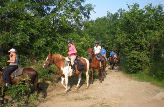 colonie vacances equitation lozere | Destinations Cheval