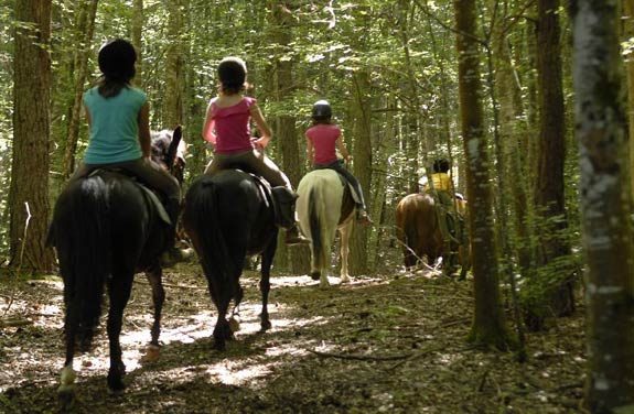 colonie vacances poney chien vercors | Destinations Cheval