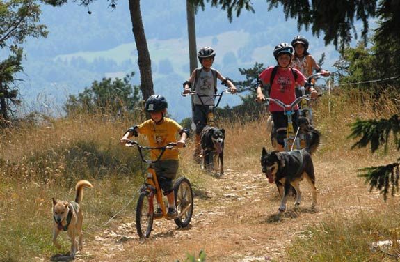 colonie vacances poney chien vercors | Destinations Cheval