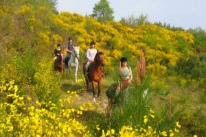 Stage d’initiation à l’équitation et balade à cheval dans les Landes