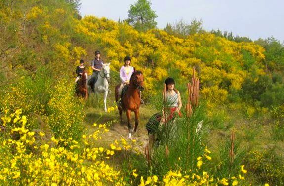 initiation cheval dans les Landes