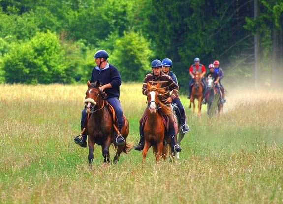 randonnee cheval morvan