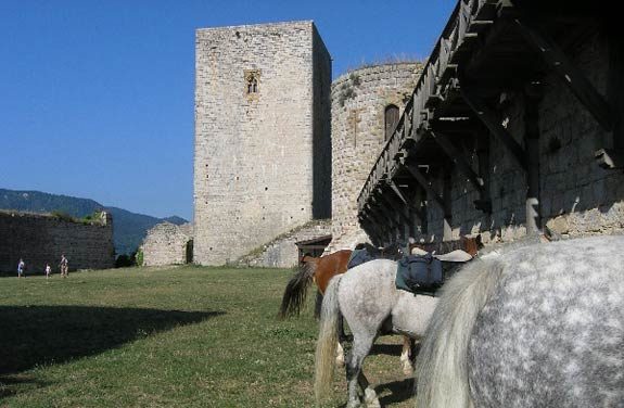 Rando cheval, les Pyrénées et ses châteaux cathares - Destinations Cheval