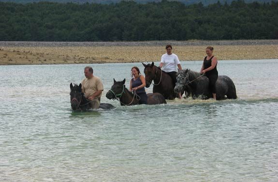 Rando cheval, les Pyrénées et ses châteaux cathares - Destinations Cheval