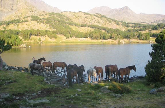 Randonnée à cheval, les Pyrénées et les lacs d’altitude | Destinations cheval