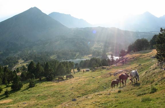 Randonnée à cheval, les Pyrénées et les lacs d’altitude | Destinations cheval
