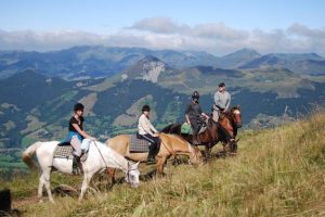 Randonnée à cheval ado en Auvergne 10-17 ans