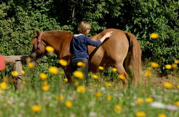 randonnee cheval ado vercors | Destinations Cheval