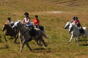 randonnee equestre 18-25 ans