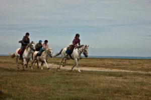 Randonnée à cheval en Normandie 11-13 ans et 14-17 ans