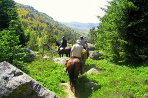 Randonnée à cheval en Lozère